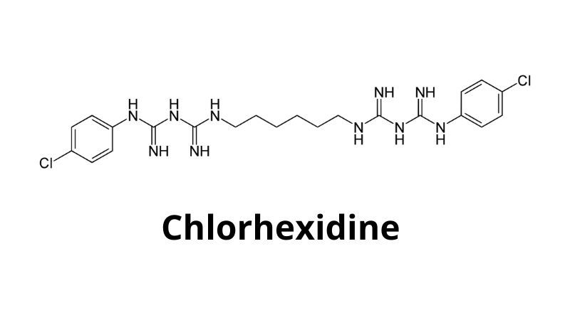 Cấu trúc phân tử của Chlorhexidine